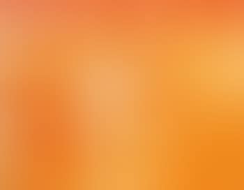 Orange Still Life (preview)
