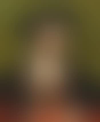 Portrait Of King Louis II Of Hungary And Bohemia (1506-26) (preview)