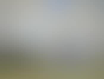 Summer pasture with cattle grazing in the foreground (preview)