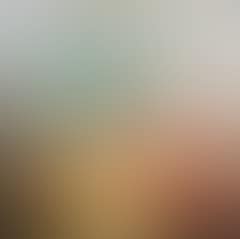 Still life (preview)