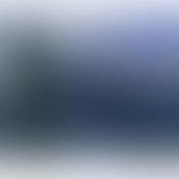 Gebirgslandschaft mit Tannenbaum (preview)