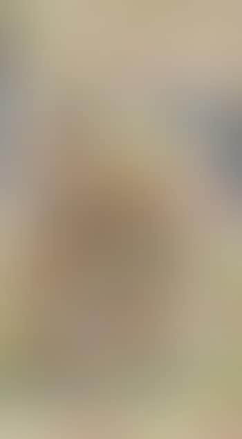 Rare Et Importante Peinture En Rouleau (preview)