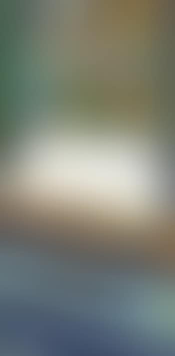 Gondolier outside window (preview)