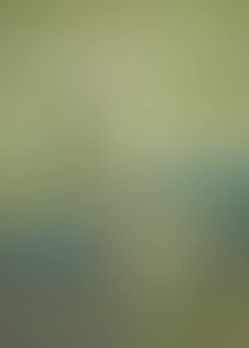 Evening (preview)