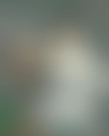 La plante favorite (preview)