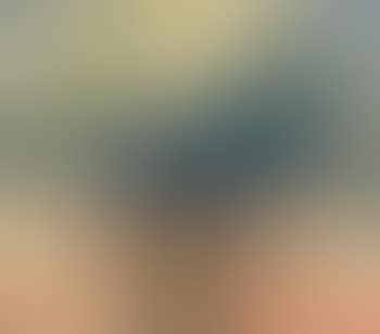 Nature morte au vase (preview)