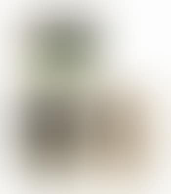 Untitled (preview)
