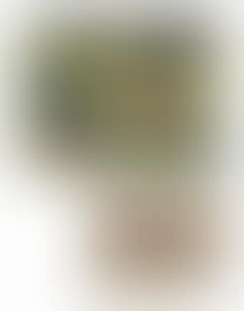 Untitled (Landscape) (preview)