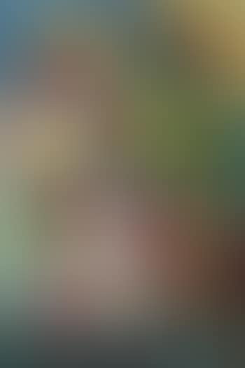 Untitled (preview)