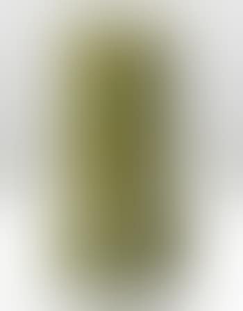 A Vase (preview)