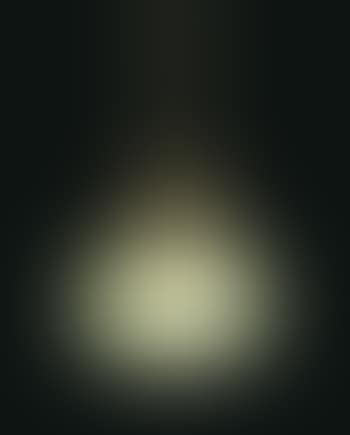 A Hanging Light From The Briars, Long Island, NY (preview)