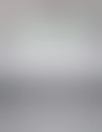 Ceiling light (preview)