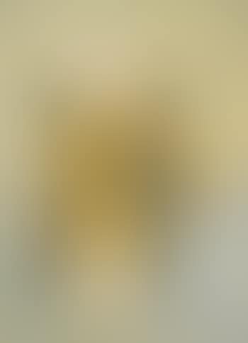 Portrait Of Sophie Sampliner (Sophie In Wing Chair With Nicki) (preview)