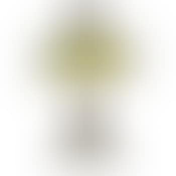 Desk Lamp (preview)