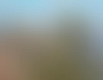 Paysage (preview)