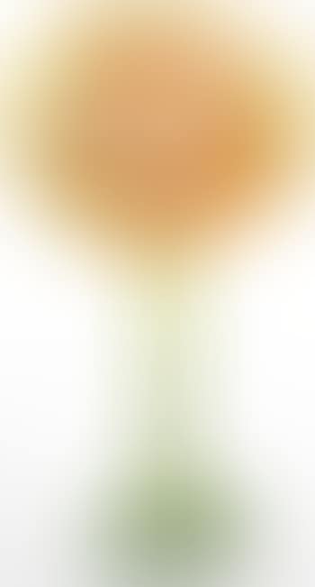 Jack-in-the-pulpit Vase (preview)