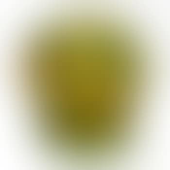 Millefiore Paperweight Vase (preview)