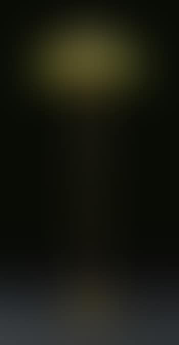Apple Blossom Floor Lamp (preview)