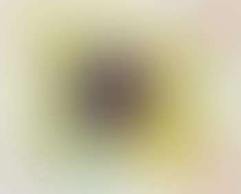 Untitled: (Sf 167s, Sf 165s, Sf 199s) (preview)