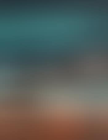 The constant sea (preview)