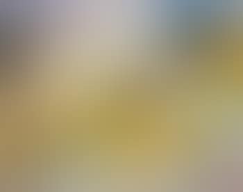 Paysage d'Ibiza (preview)