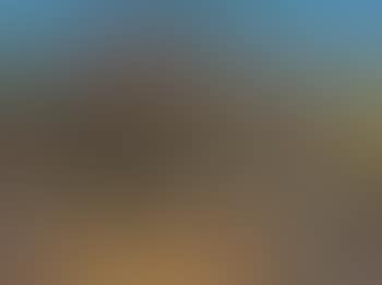 Paysage des Maures (preview)