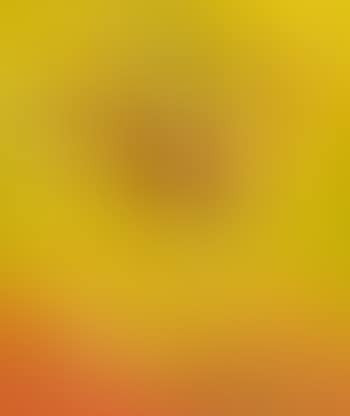 Sunflowers (preview)