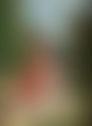 Figure femminili (preview)