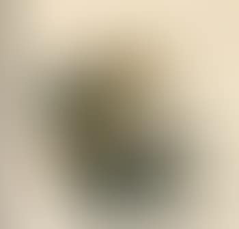 Zwei weibliche Akte (preview)