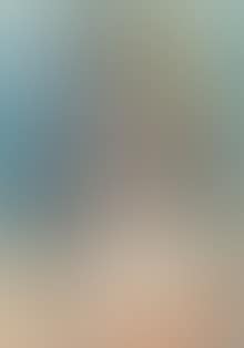 Brustbild einer Dame mit Strohhut (preview)