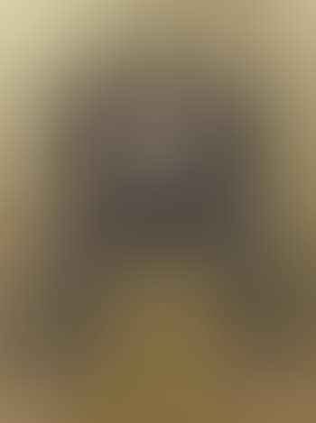 Chimpanzé (preview)