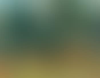 Figure and donkey in a grove (preview)