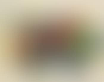 Composition (preview)