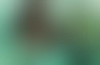 Composition (preview)