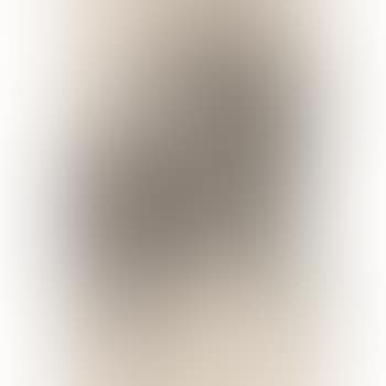 Five donkeys (preview)