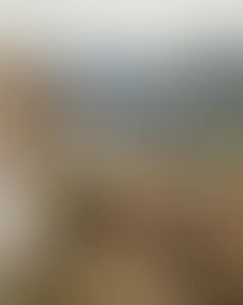 Etter andejakten (preview)