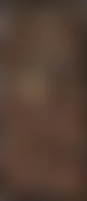 Untitled (medicine and bush tucker) (preview)
