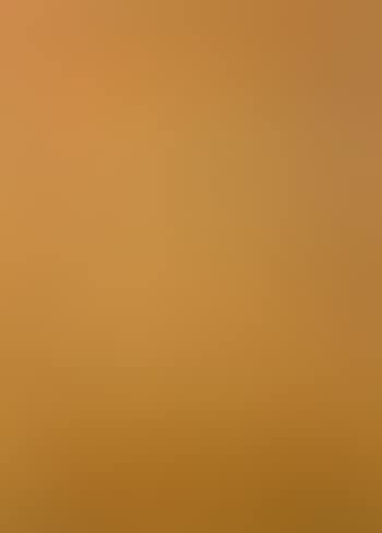 A brown square (preview)