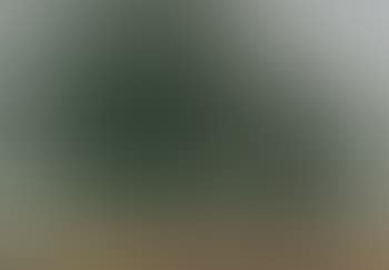 Quatre Grands Arbres (preview)