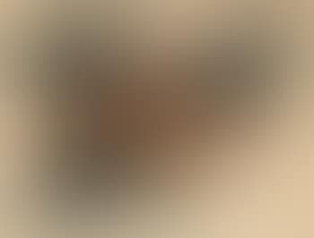 Blume (Braun-schwarz) (preview)