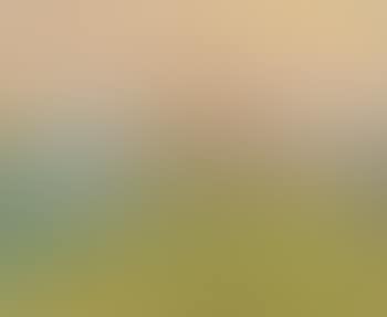 Baum Vor Landschaft (Herbststimmung) (preview)