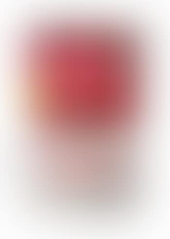 Tomato Soup (Can) (preview)