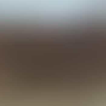 Cornfield group (preview)