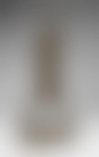 Schreitende (preview)