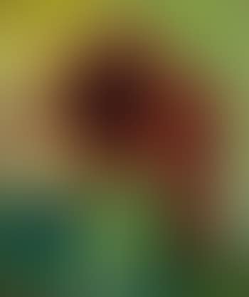 Figur Und Blumenstilleben (preview)
