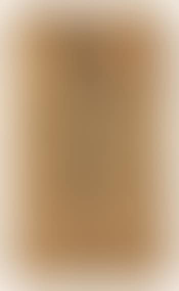 Baron Von Arnim In Ganzer Figure; Pauline Decker In Halbfigur (preview)