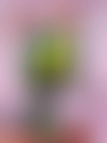 Bouquet fond mauve (preview)