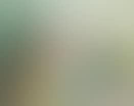 Paysage (preview)