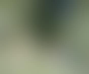 Baigneuses (preview)