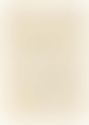 Doppelblatt Akkumulatoren (preview)